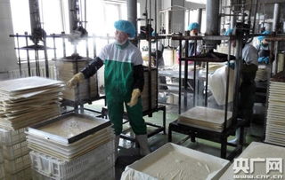 天人和 寧夏食品企業(yè)榮膺中國豆制品樣板工廠，引領(lǐng)健康飲食新風(fēng)尚